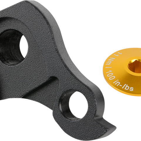 INTENSE Derailleur Hanger Kit - Gold Cap IT50115